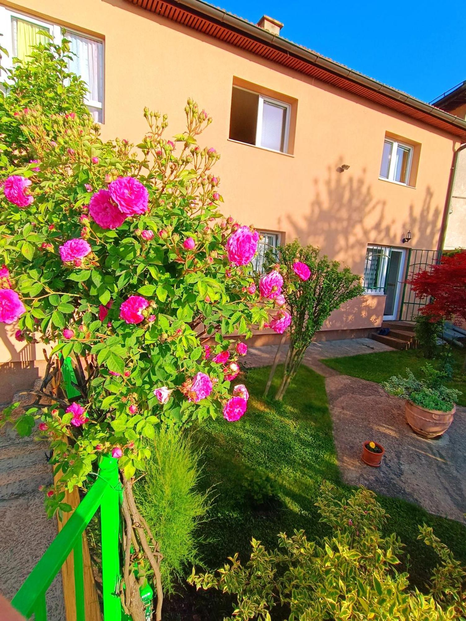 Garden Free Parking Appartamento