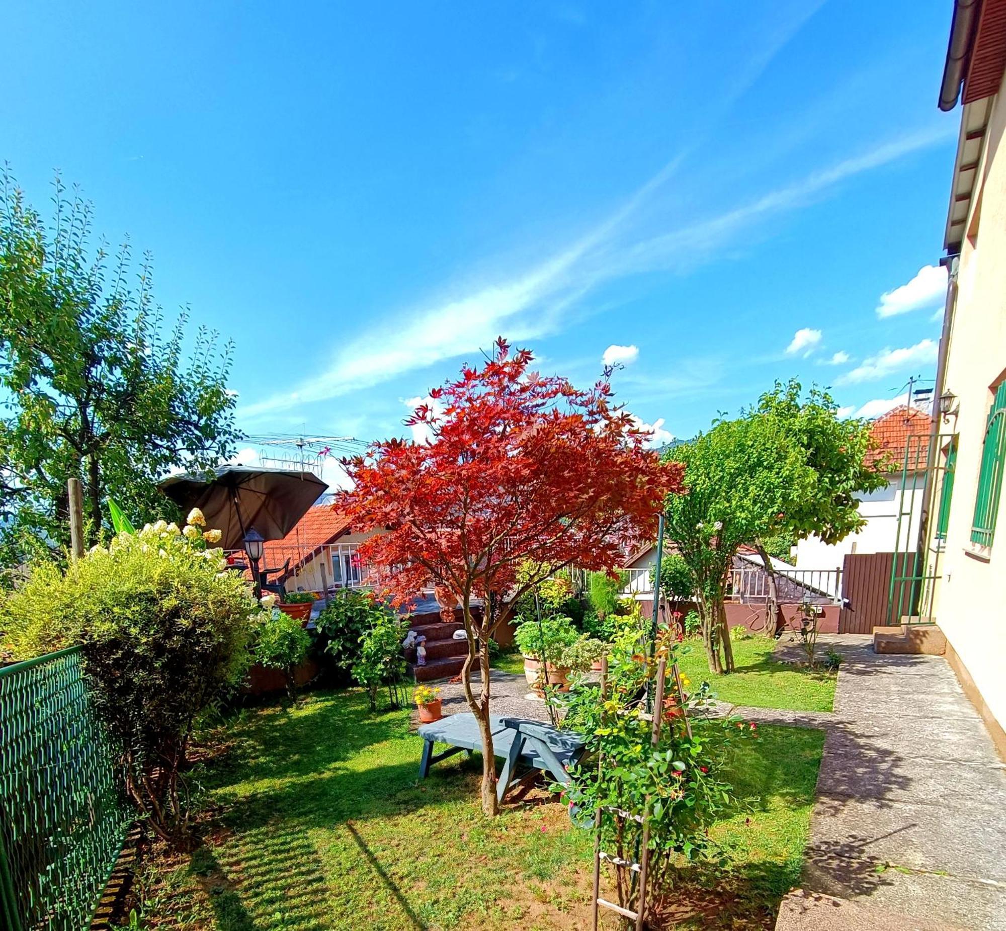 Garden Free Parking Appartamento *