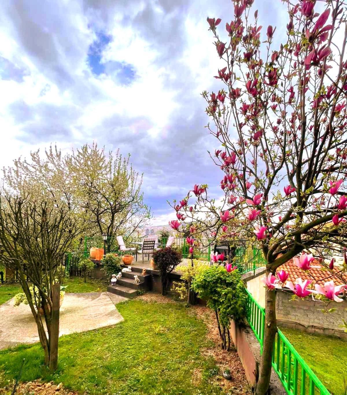 Garden Free Parking SJJ