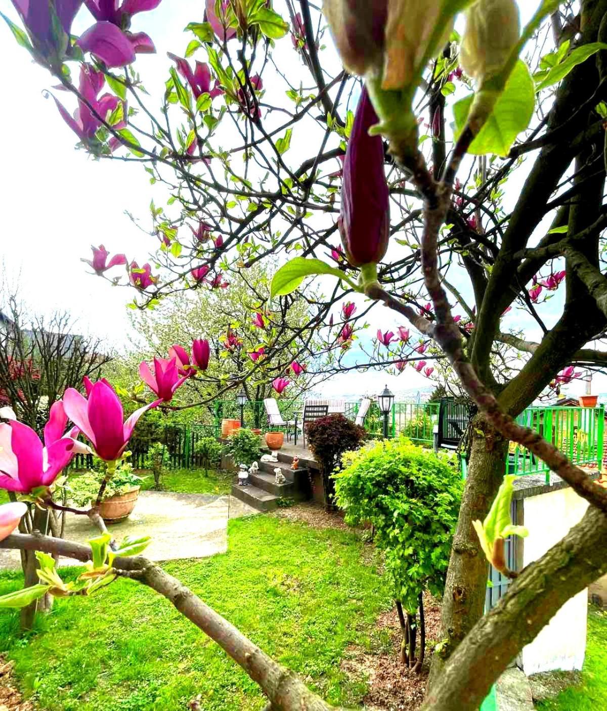 Garden Free Parking